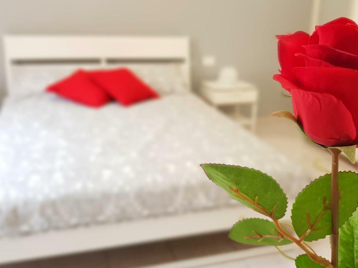 L'Opera Dei Pupi B&B 阿沃拉 外观 照片